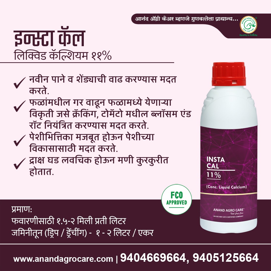 anandagrocare's tweet photo. рдордгреА рд╕реЗрдЯрд┐рдВрдЧ рддреЗ рдкрд╛рдгреА рдЙрддрд░рдгреНрдпрд╛рдЪреНрдпрд╛ рдЕрд╡рд╕реНрдереЗрдд рдЖрдкрдг рдЖрдирдВрдж рдЕреЕрдЧреНрд░реЛ рдХреЗрдЕрд░рдЪреЗ рджрд░реНрдЬреЗрджрд╛рд░ рдЙрддреНрдкрд╛рджрди рдЗрдиреНрд╕реНрдЯрд╛ рдХреЕрд▓ рдЪрд╛ рд╡рд╛рдкрд░ рдЬрдорд┐рдиреАрддреВрди рддрд╕реЗрдЪ рдлрд╡рд╛рд░рдгреАрддреВрди рдХрд░рд╛рд╡рд╛.
рд╡рд╛рдкрд░рдгреНрдпрд╛рдЪреЗ рдкреНрд░рдорд╛рдг :-
рдЬрдорд┐рдиреАрддреВрди :- реи рд▓рд┐рдЯрд░ рдкреНрд░рддреА рдПрдХрд░
рдлрд╡рд╛рд░рдгреАрд╕рд╛рдареА :- реи рдорд┐рд▓реА рдкреНрд░рддреА рд▓рд┐рдЯрд░
#instacal #liquidcalcium #calcium #grapes #grapesfarming https://t.co/FQfzaObWmY