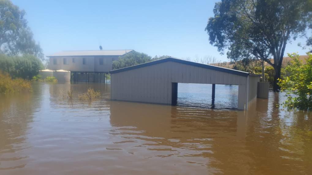 JAdamsSSDD's tweet image. Oh fark……never seen this in my lifetime….#adamsrepublicofcaurnamont