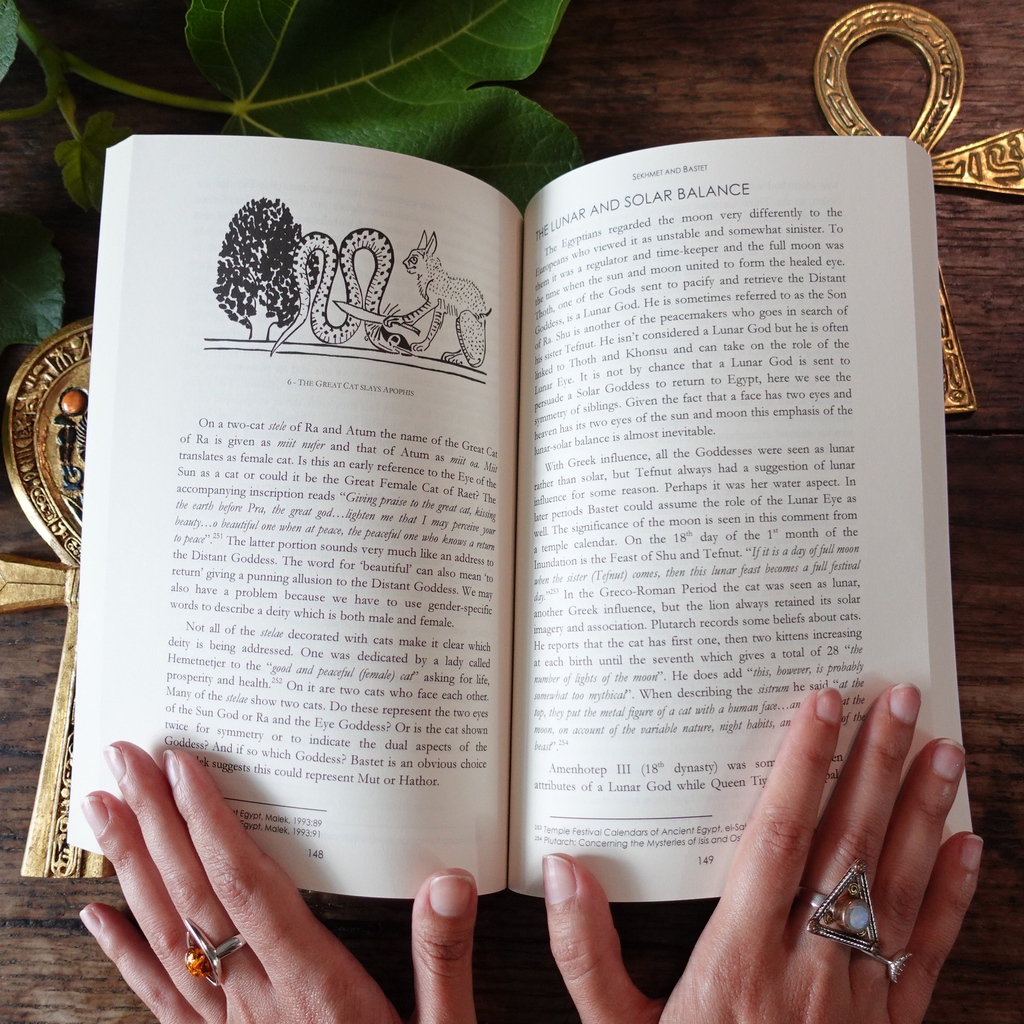 Avalonia Books tweet media