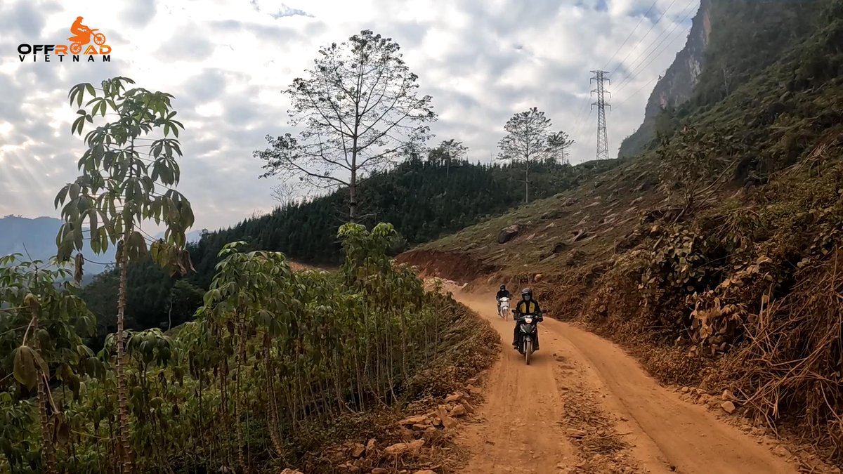 vietnamriders1's tweet image. Many people believe that scooters are not designed for off-road riding until they see this. 👓

📸 hanoimotorbikerental.com

#semiautomatic #tackleroughroads #localchoice #vietnam #xuhuong2022 #trending2022 #motorbike​ #motor​ #tour​ #rental​​ #honda​ #XR150L​ #CRF150L​ #CRF250L