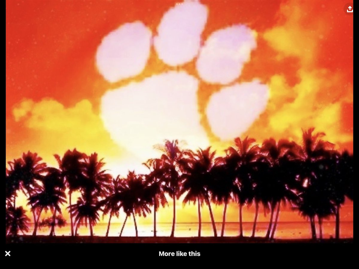 All eyes are on Miami!  Go Tigers!!