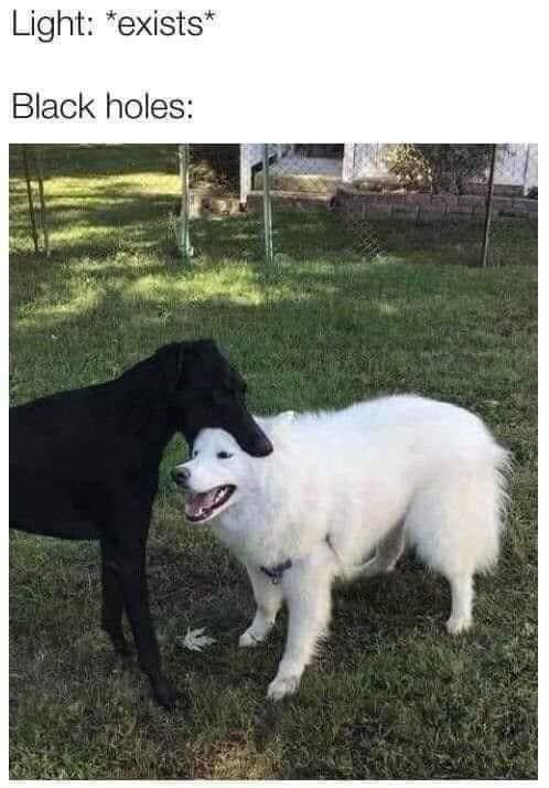 Lab in a Lab (@labvslab) on Twitter photo 