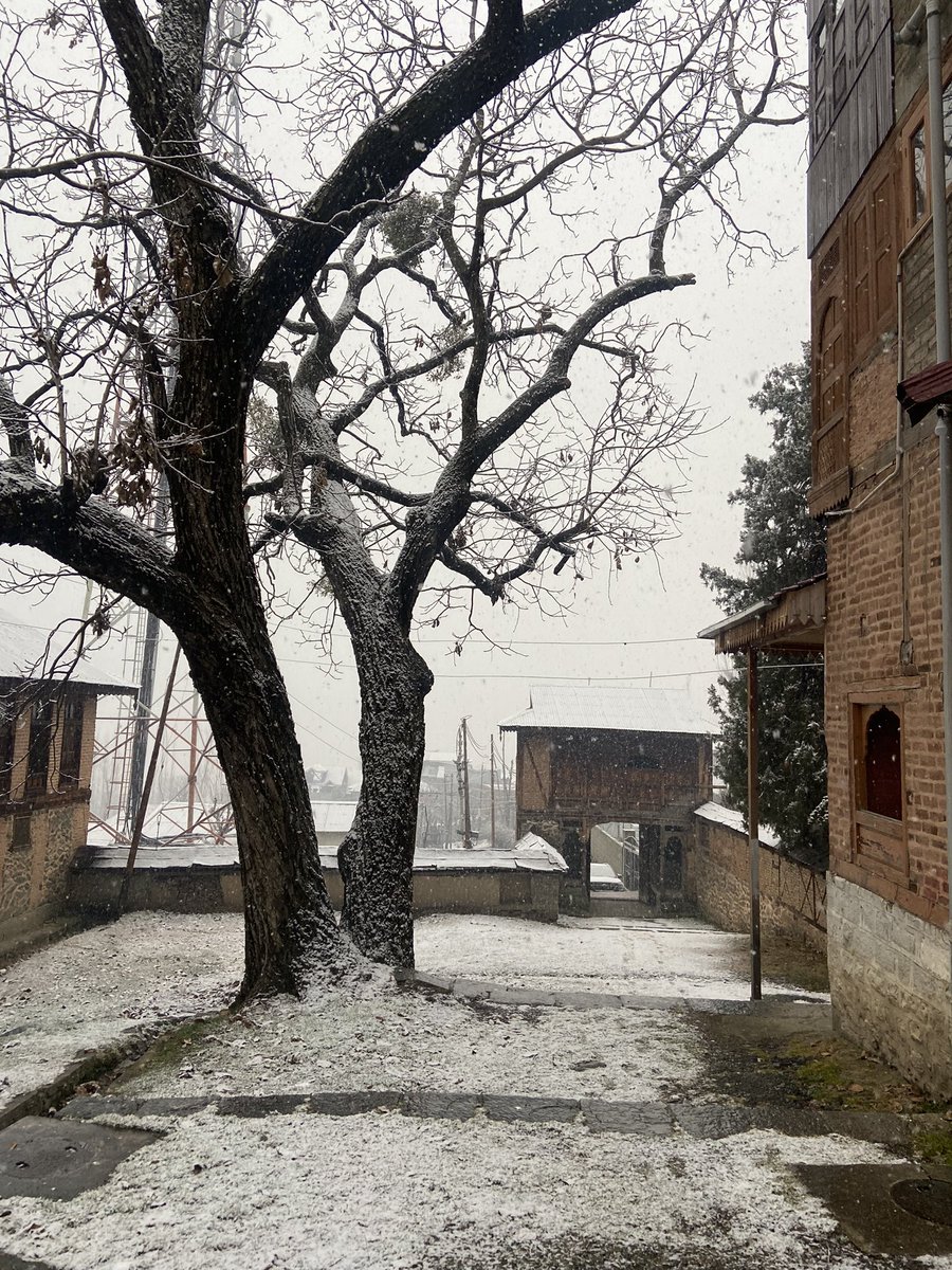iqraashakeel's tweet photo. Ghar. #snowfall https://t.co/AddYGwVMmy