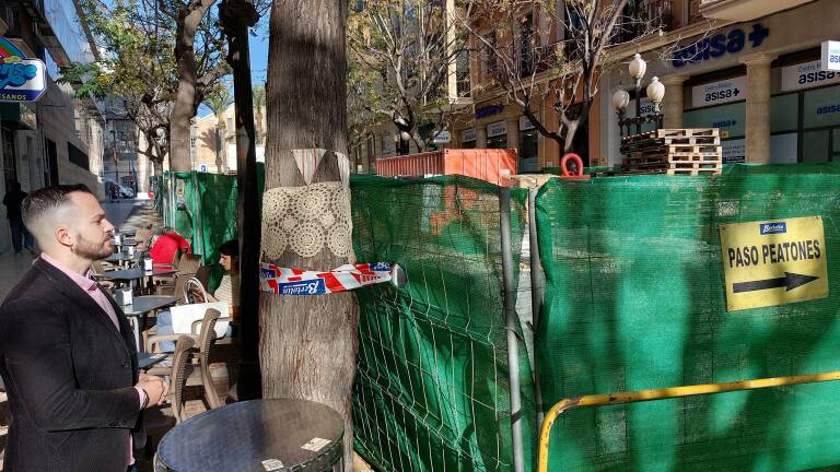 Las melias de la Av Constitución llevan más de 30 años dando sombra y depurando el aire, y Barcala las quiere arrancar.

<a href="/CompromisALC/">Compromís Alacant</a>
Pedimos: 

👉🏽 Una intervención urgente para salvarlas
👉🏽 Que se queden donde están
👉🏽 Proteger todo el arbolado con una ordenanza de protección🌳