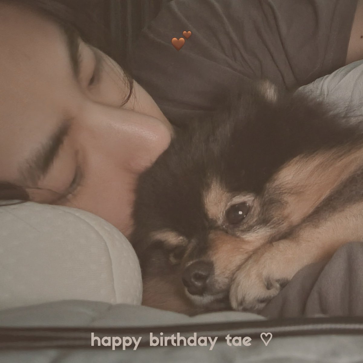 amourtaetae's tweet photo. happiest birthday loml🎂💜Wherever you are just be safe, happy and healthy always. Ilysm tae @BTS_twt 🥹🫶🏼

#HAPPYVDAY
#HappyBirthdayTaehyung https://t.co/MXofoLHuoE