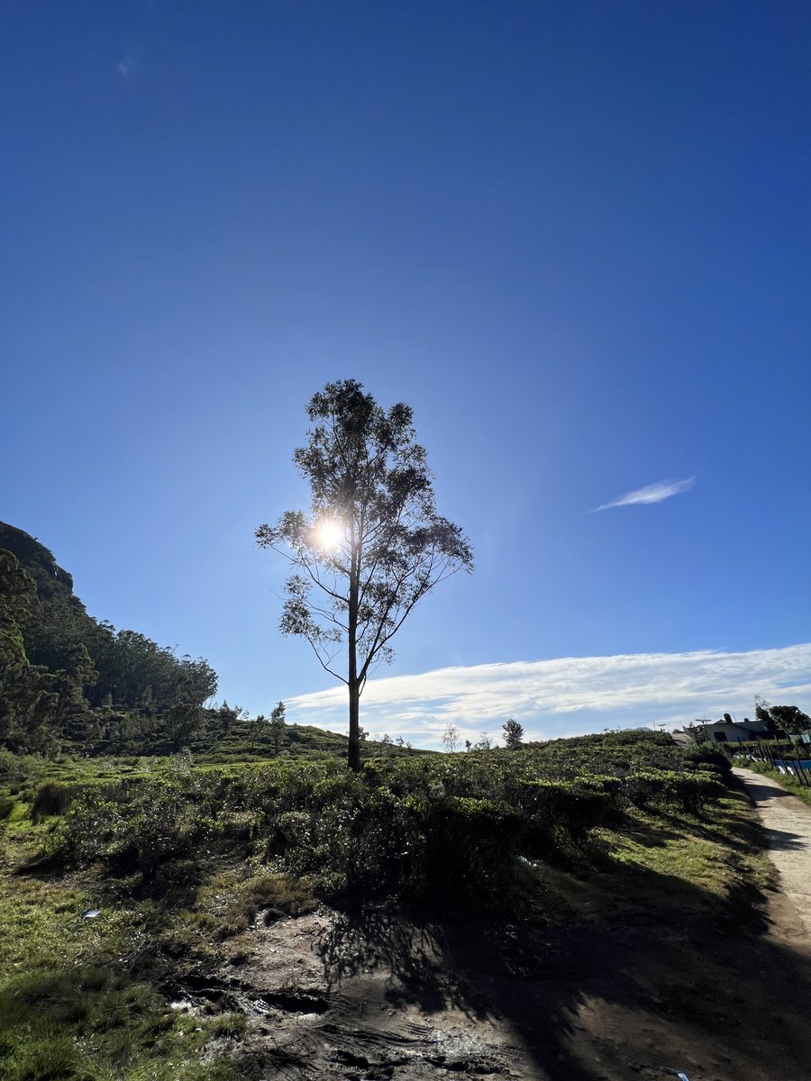 bsavindu's tweet photo. Sri Lanka is a beautiful country. There are lots of places we missed in Sri Lanka. Anyone should visit upcountry.

 #srilanka #travel #nature #srilankatravel #travelphotography #photography #instagood #wanderlust #instatravel #photooftheday #travelblogger #visitsrilanka https://t.co/6SEgxWXI9l