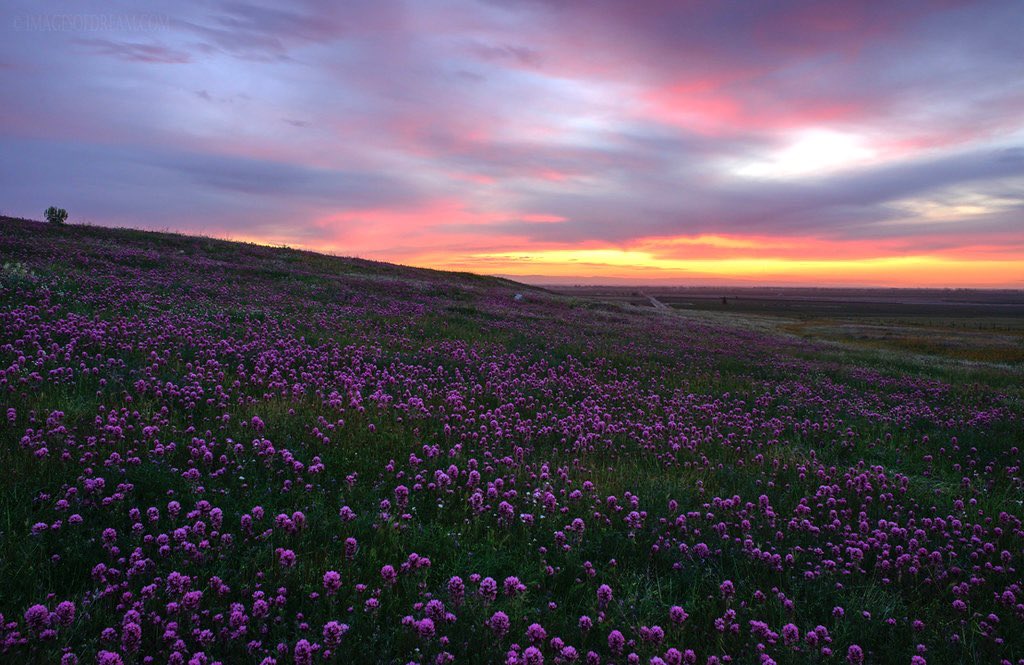 ‏َ (@erehisufolder) on Twitter photo 