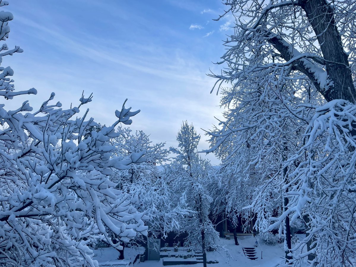 There’s something about the way the snow landed on the trees this time…