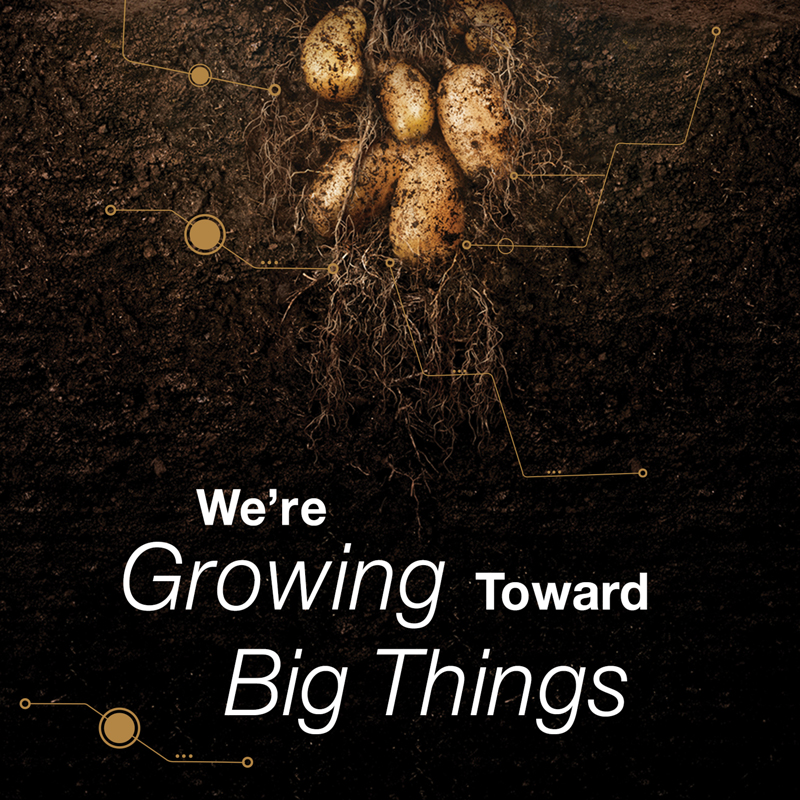 BayerCropProUS's tweet photo. Visit us at this yearโs #PotatoExpo, where weโll be A Force in the Field at booth #601.
Learn more about the #ForceInTheField at
https://t.co/LtvoOIlI99 https://t.co/xj6h2mmh87