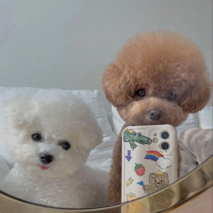 it's taehyungie hyung day~ 💜
#HappyBirthdayTaehyung