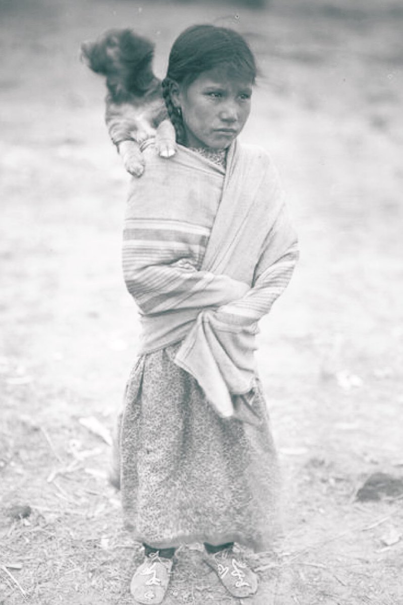 If this child was strong enough to survive the Native American genocide, then non-Native students should be strong enough to learn about it in school. Agree? #WoundedKneeMassacre