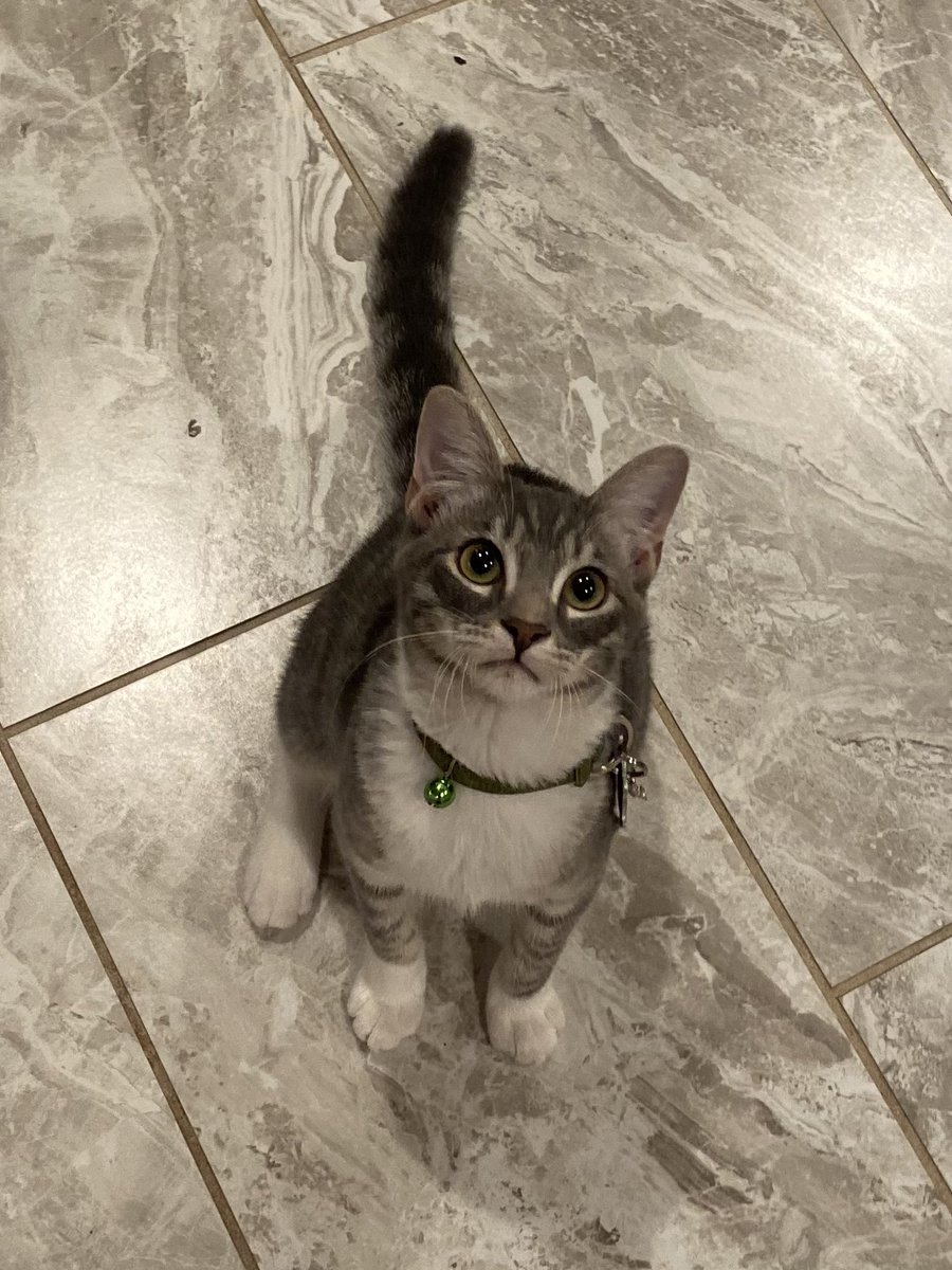 Simply_Ari_'s tweet photo. It’s my chaotic-evil son’s 6 month birthday https://t.co/GcJe7T9c16