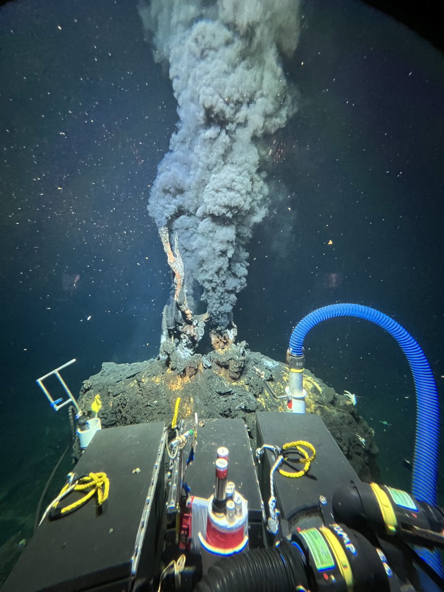 Woods Hole Oceanographic Institution (WHOI) tweet media