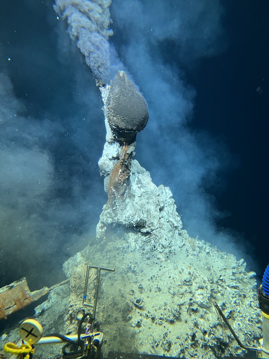 Woods Hole Oceanographic Institution (WHOI) tweet media
