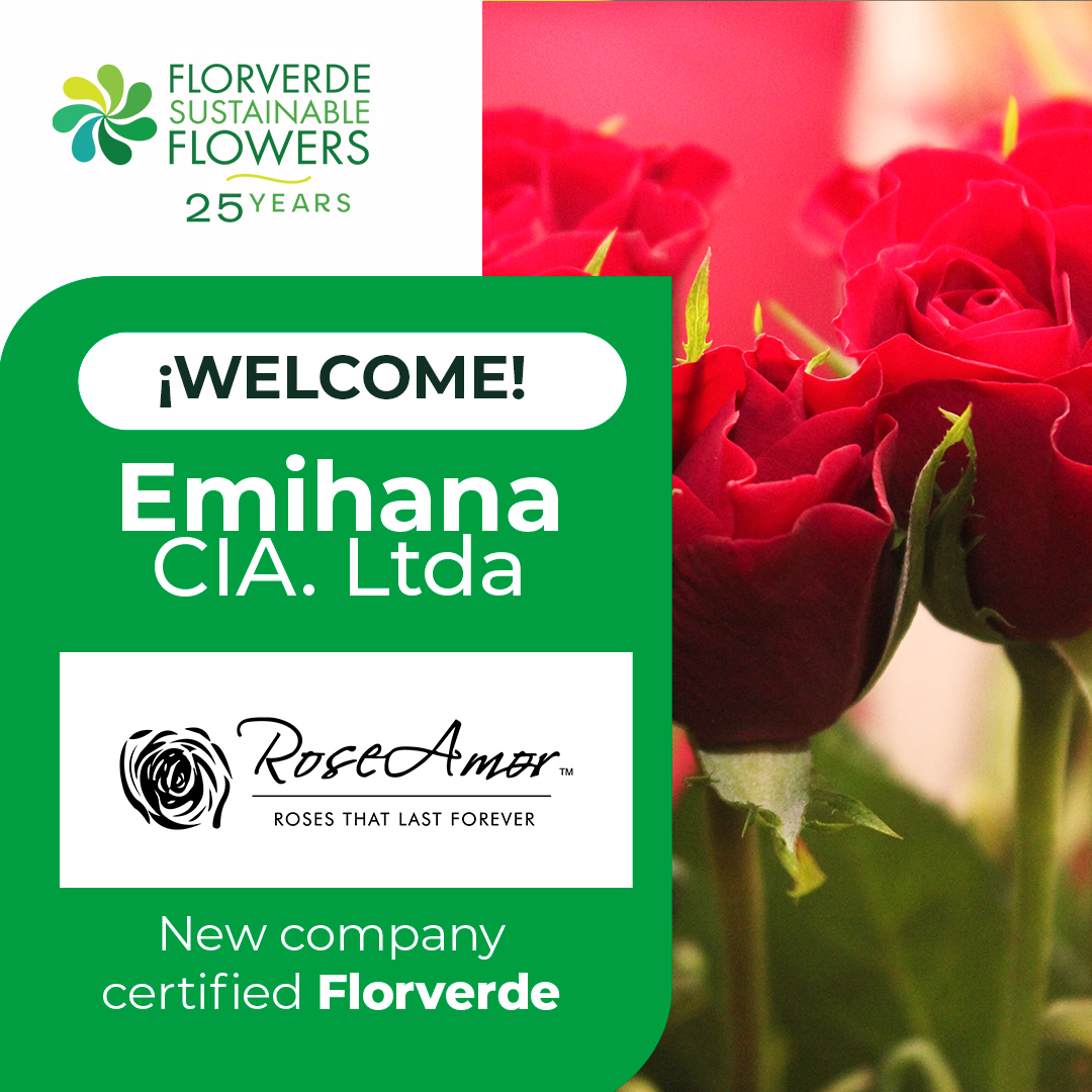 Florverde® tweet media