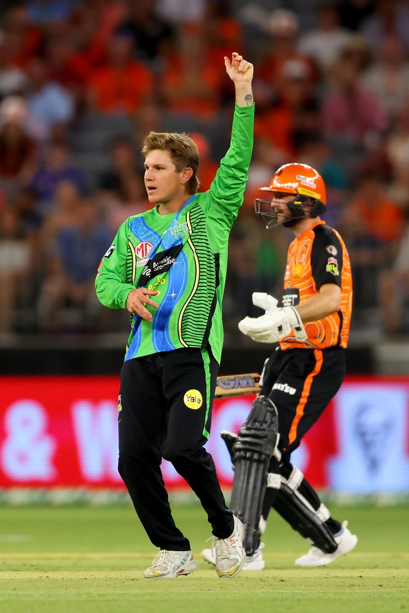 Melbourne Stars tweet media