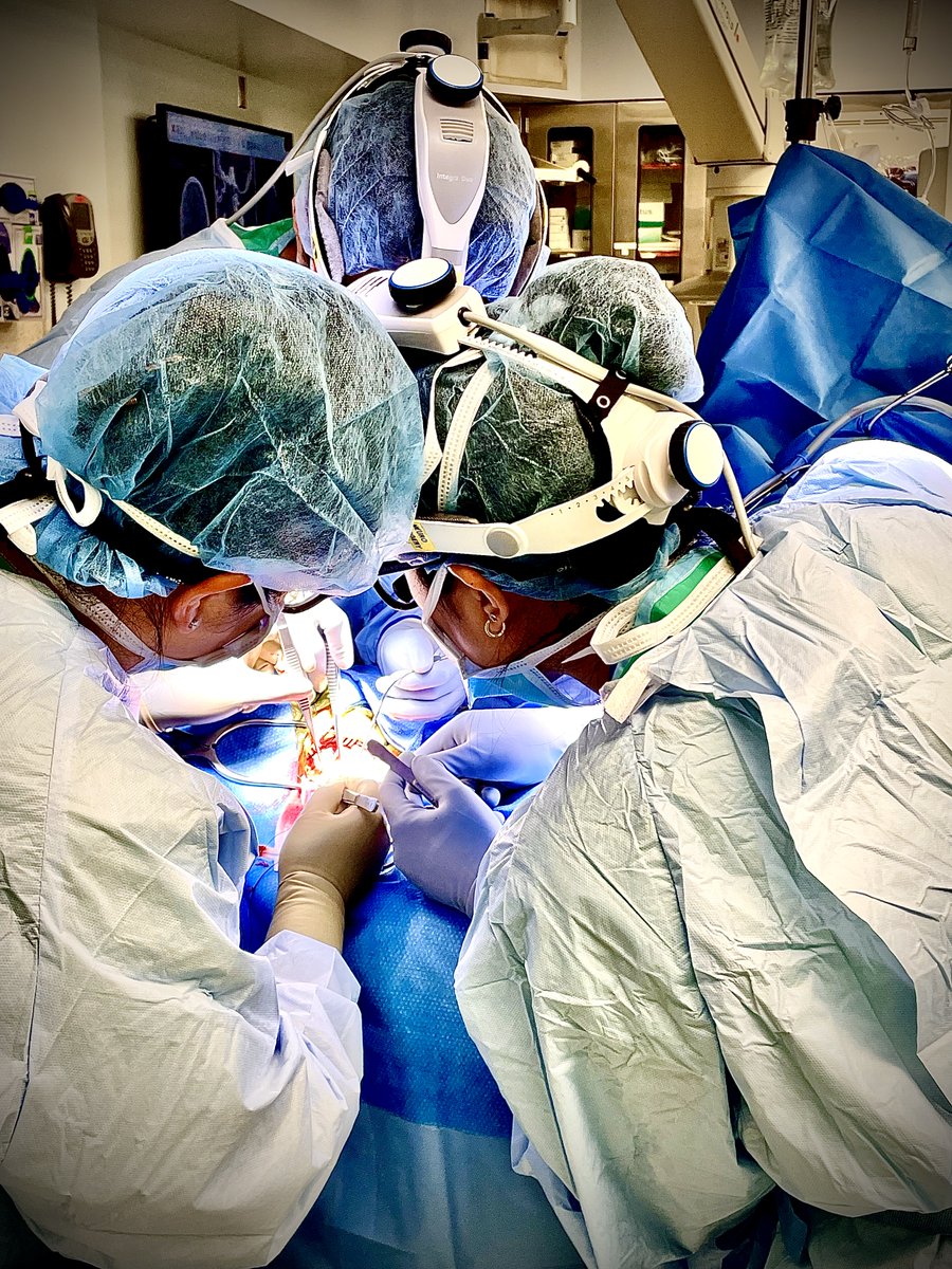 Stellar PGY4 #LydiaBernhardtMD served as <a href="/HopkinsNsurg/">Johns Hopkins Neurosurgery</a> <a href="/HopkinsBayview/">JohnsHopkinsBayview</a> chief resident for the last 3 months

She's cared for our diverse patient population with grace &amp; compassion while perfecting operative techniques, including during this open vascular #CEA with <a href="/DrJudyHuang/">Judy Huang, MD</a>
