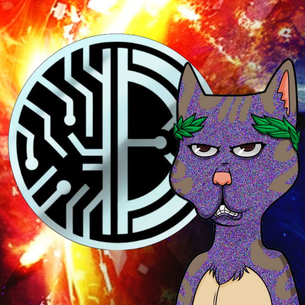 HappyDogBitcoin's tweet photo. @TheBossDAO @IGotAssets @BossCatRC @NFTDude4Life @BlueMagicBCRC @IllumincatiBCRC @CooCat_BCRC GM my lovely #BossDAO fam https://t.co/2QQHF0m86r