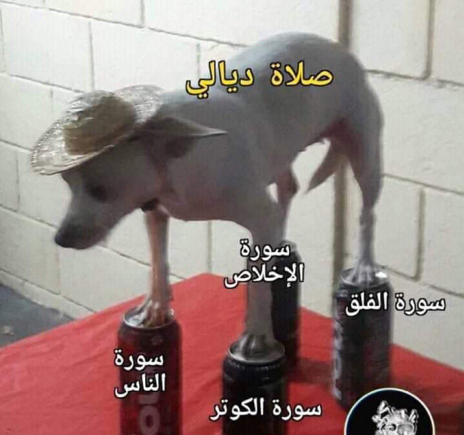 favtequila tweet picture