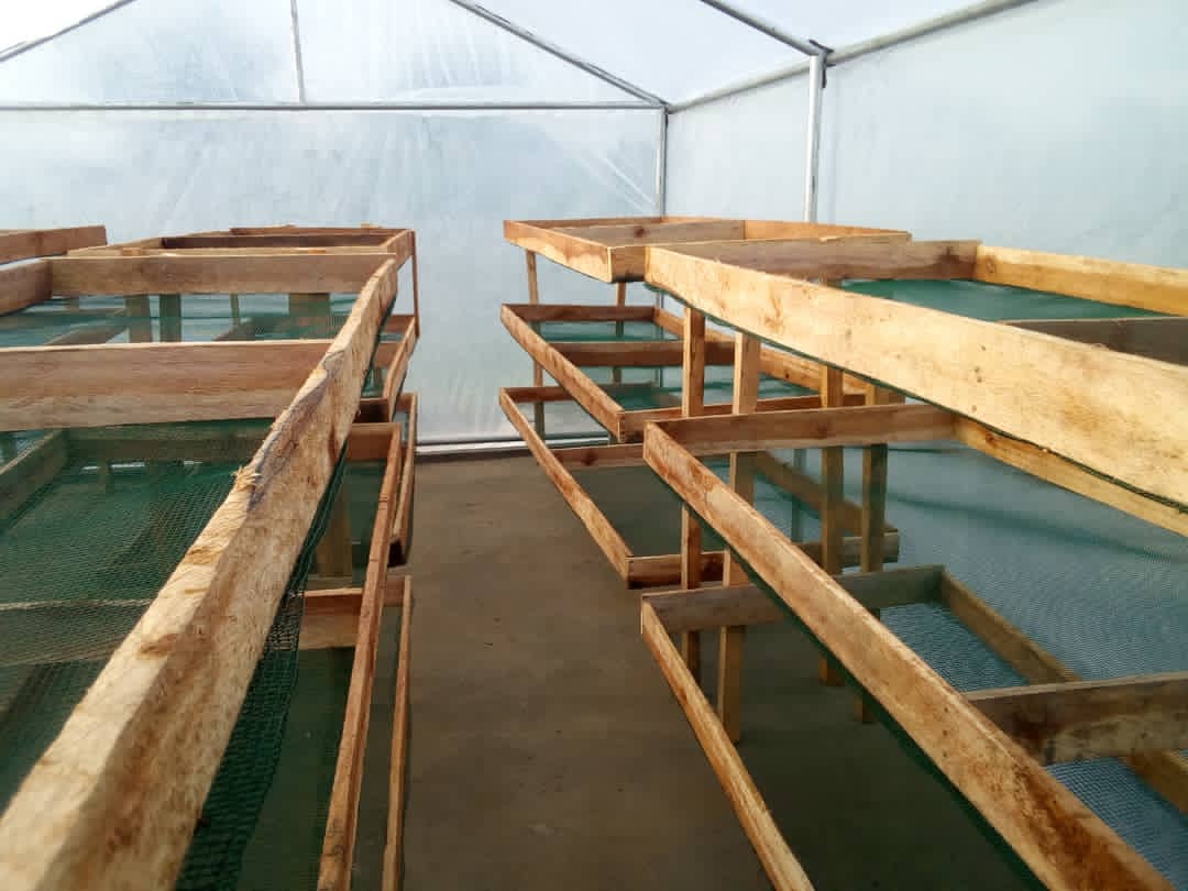 Nalapajimmy's tweet photo. It's been along year. We had an opportunity to work with fishermen this time round close to kalangala while Shifting them from open sun drying of their silver fish to using solar dryers. We can't wait to see what 2023 brings @aero_agro #solarDryers #fishDrying #endpoverty https://t.co/D669lShtbL