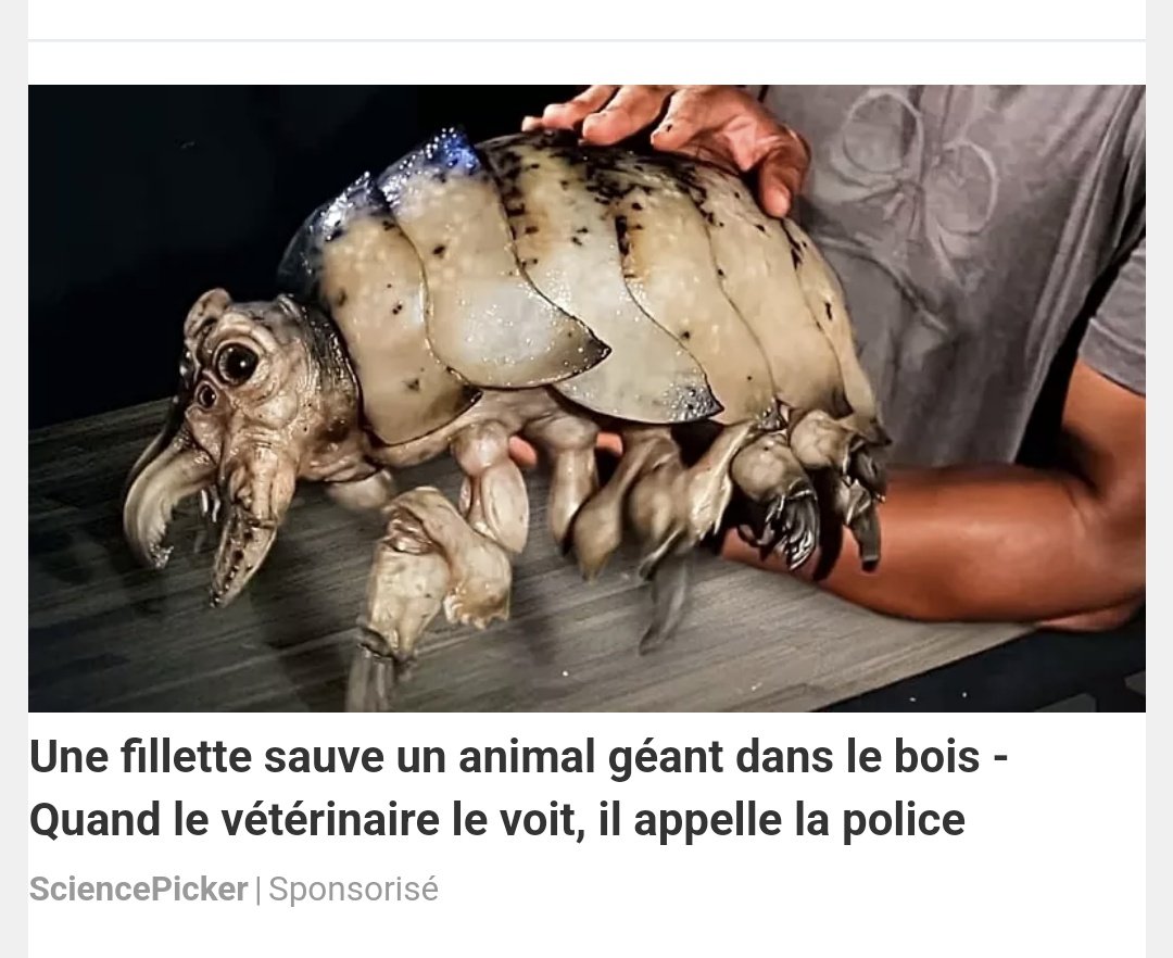 @robaseLouis tweet media