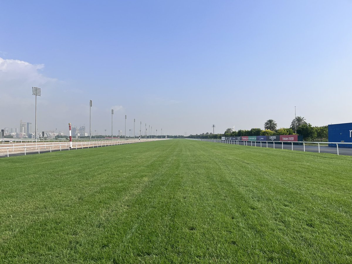Thanks to Remi Passeland for visiting Green Stables and Meydan Racecourse 🏇🏾 with partners Sylvain Vidal  <a href="/TanguyMoreux/">Tanguy MOREUX</a> <a href="/MhNguyenMoreux/">MNG</a> We all had a great time 🙌🏻