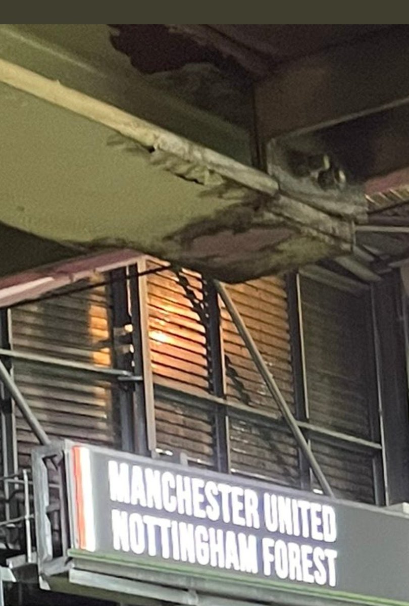 MrManUnitedd's tweet photo. Green and Gold until we are sold #GlazersOut https://t.co/BhJjf6Bz4u