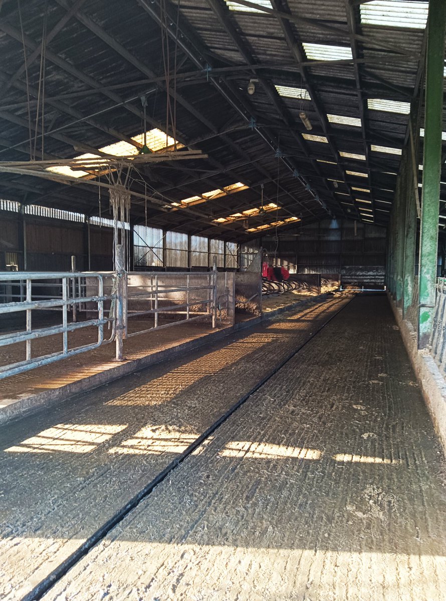 Rabillé Daniel tweet media