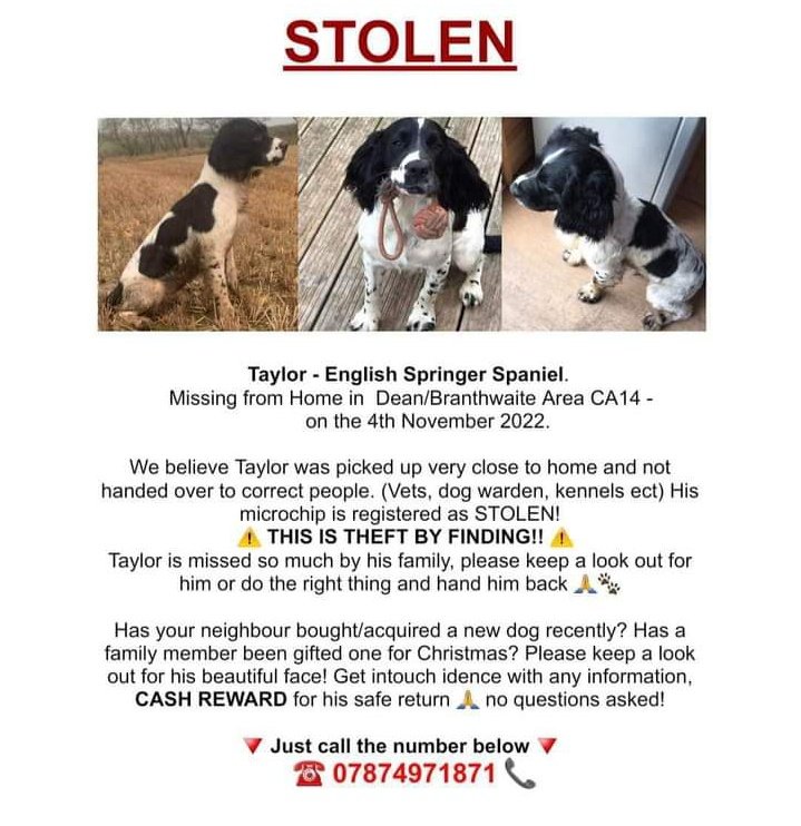 joannew0112's tweet photo. ⚡TAYLOR STOLEN #Cumbria ⚡
Pls rt , LETS MAKE TAYLOR TOO HOT TO HANDLE ! #Reward LEADING TO HIS SAFE RETURN 🙏
*POSSIBLE LINKS TO SURREY - BUT COULD BE ANYWHERE SO Pls rt
IF YOU KNOW ANYTHING, NO MATTER HOW SMALL OF A DETAIL YOU THINK IT COULD BE pls 📞 https://t.co/4yRV8X7RTA https://t.co/YMgfeSBYnW