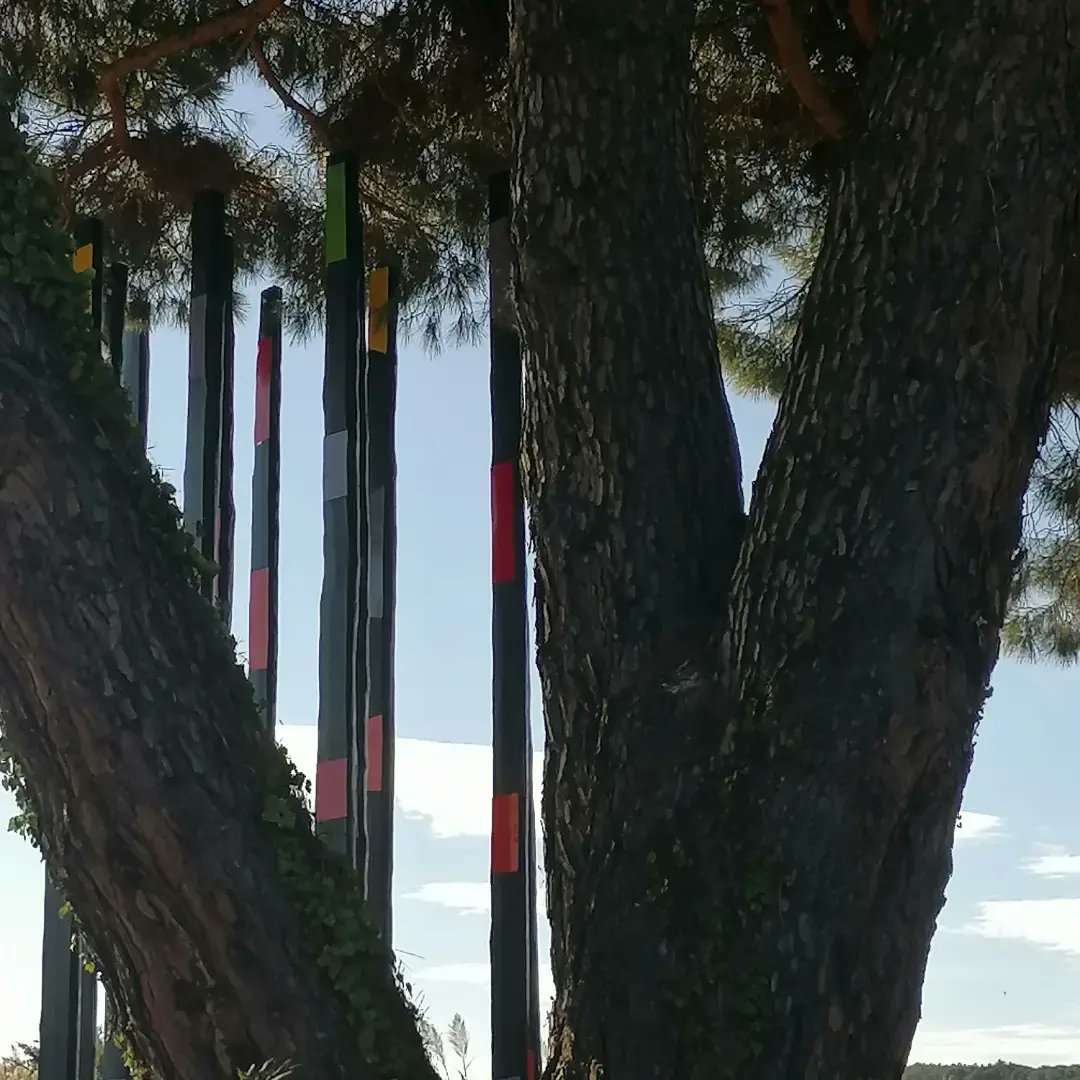 sophienectoux's tweet photo. Les Arbres brûlés travaillés par l'artiste Philippe Pastor, un message grandeur nature engagé pour lutter contre la déforestation liée aux incendies. 
@PhilippePastor1
Ramatuelle, Sainte-Maxime, Saint-Paul de Vence. https://t.co/TWvfLSK3M5