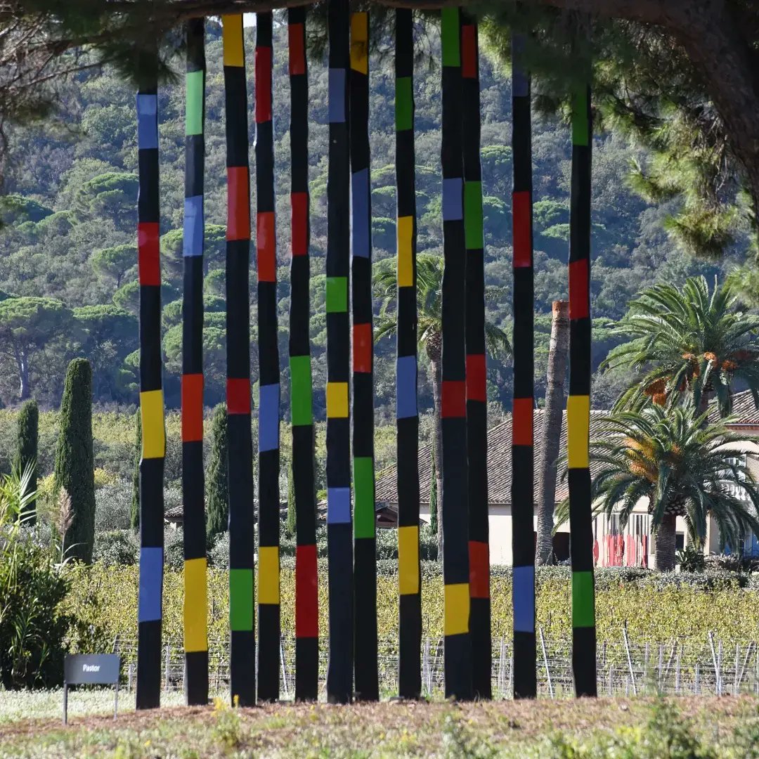 sophienectoux's tweet photo. Les Arbres brûlés travaillés par l'artiste Philippe Pastor, un message grandeur nature engagé pour lutter contre la déforestation liée aux incendies. 
@PhilippePastor1
Ramatuelle, Sainte-Maxime, Saint-Paul de Vence. https://t.co/TWvfLSK3M5