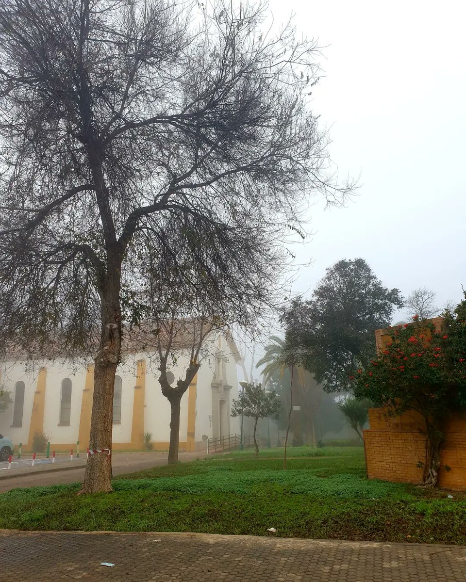 Manuel Sollo tweet media