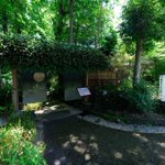 ツイートに含まれる画像