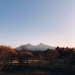 ツイートに含まれる画像