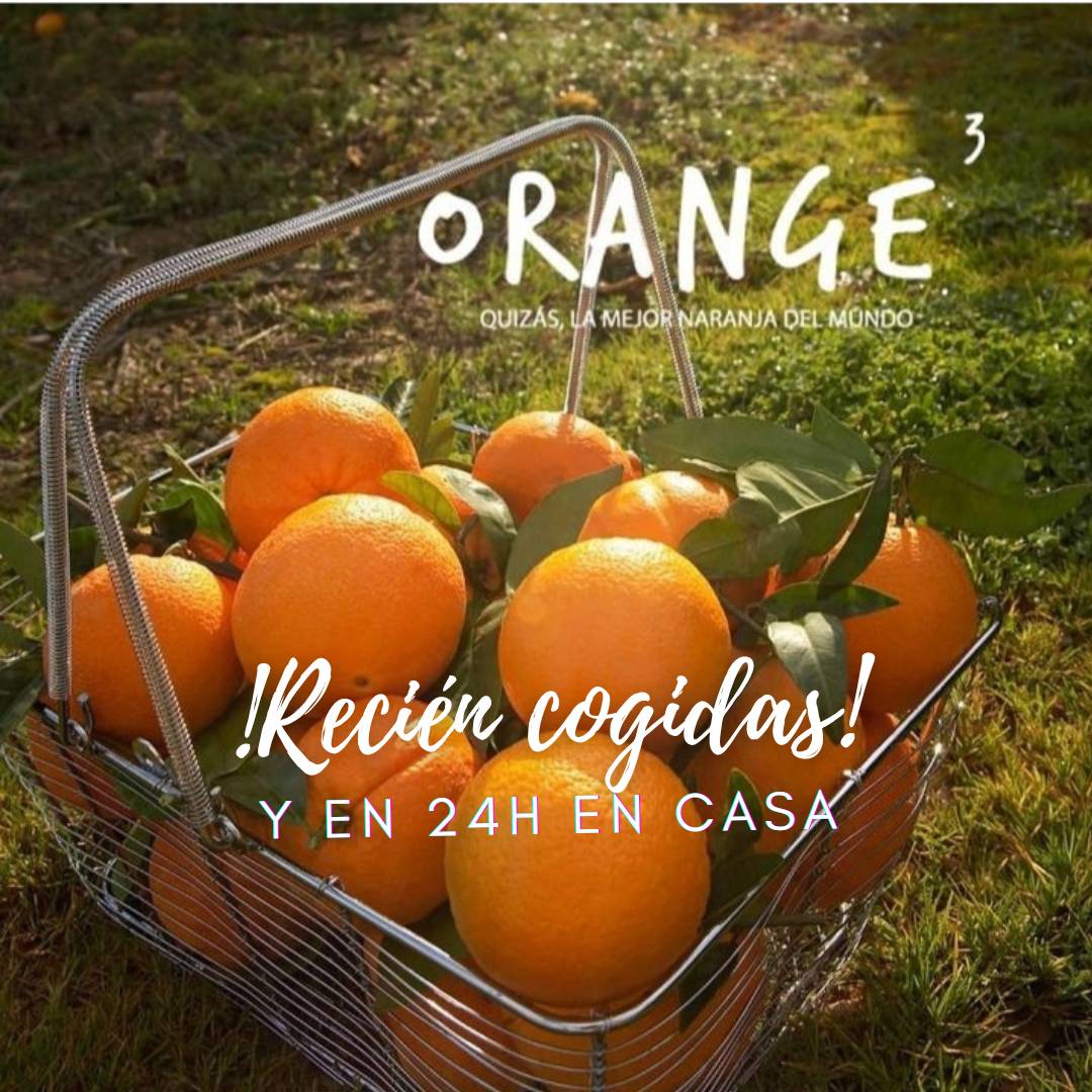 Orange3's tweet photo. Haz tu pedido de Lunes a Jueves antes de las 11 a.m. y recibe tus naranjas en 24h. Del árbol a la mesa https://t.co/82RJFCJVqf #orange3 #naranjasdeandalucia #naranjasdepalmadelrio #delarbolalamesa #enviosadomicilio https://t.co/vykjlxcBnW