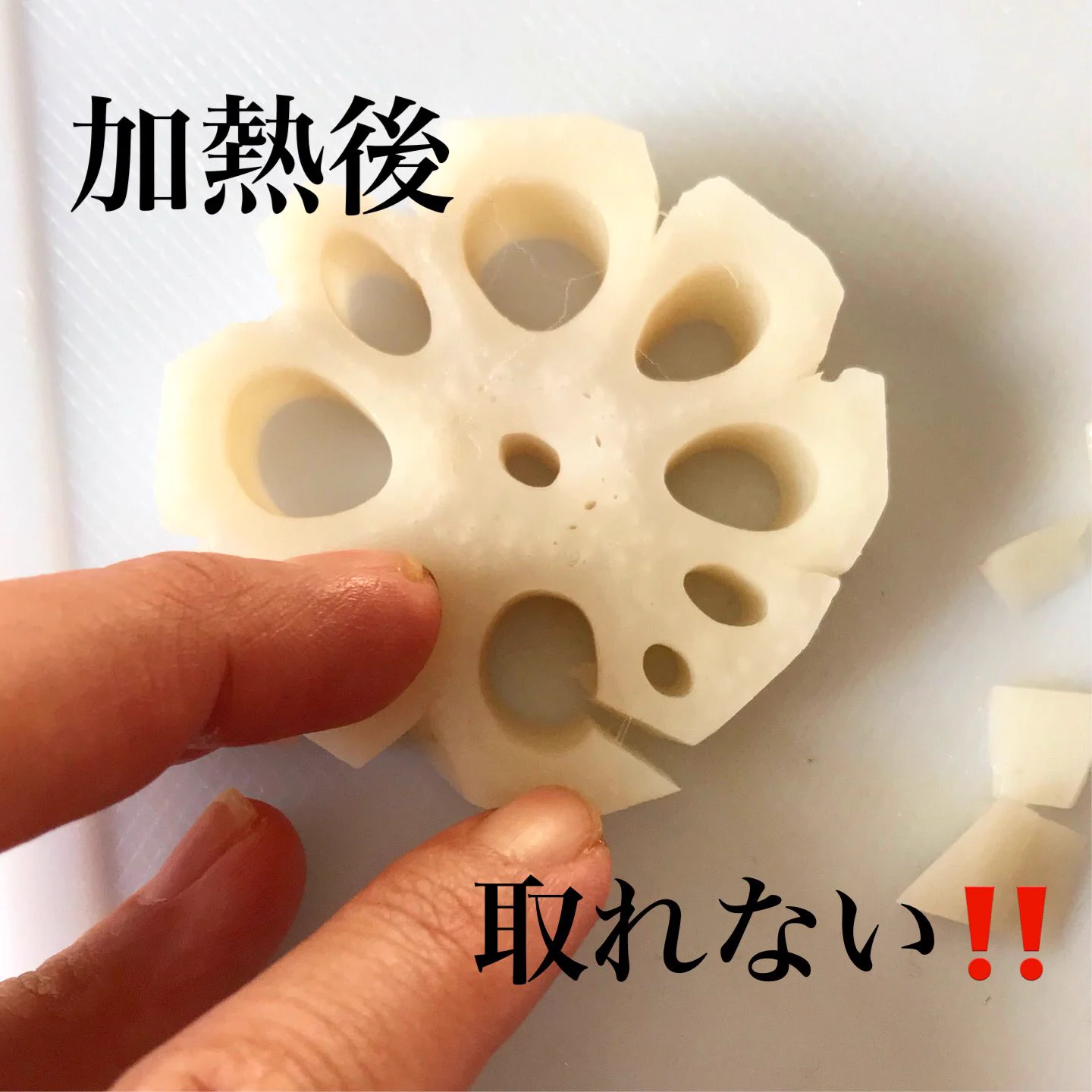 覚えておきたい！蓮根の飾り切りは切る前にあることをすると、すーっと包丁が入り簡単になる？！