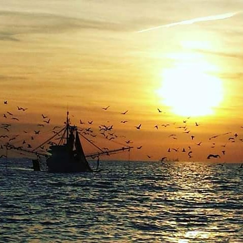 hippyseachick's tweet photo. #RealSaltLife https://t.co/GlBLWa9WvC