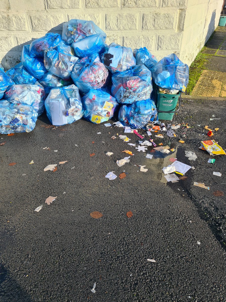 HighburyGeorge's tweet photo. @CarmsCouncil When are you collecting the bins in Raby Street and Park View Terrace??? You asked for them to be put out at the start of the week!!! Totally unacceptable!!! https://t.co/mqLibqvczs