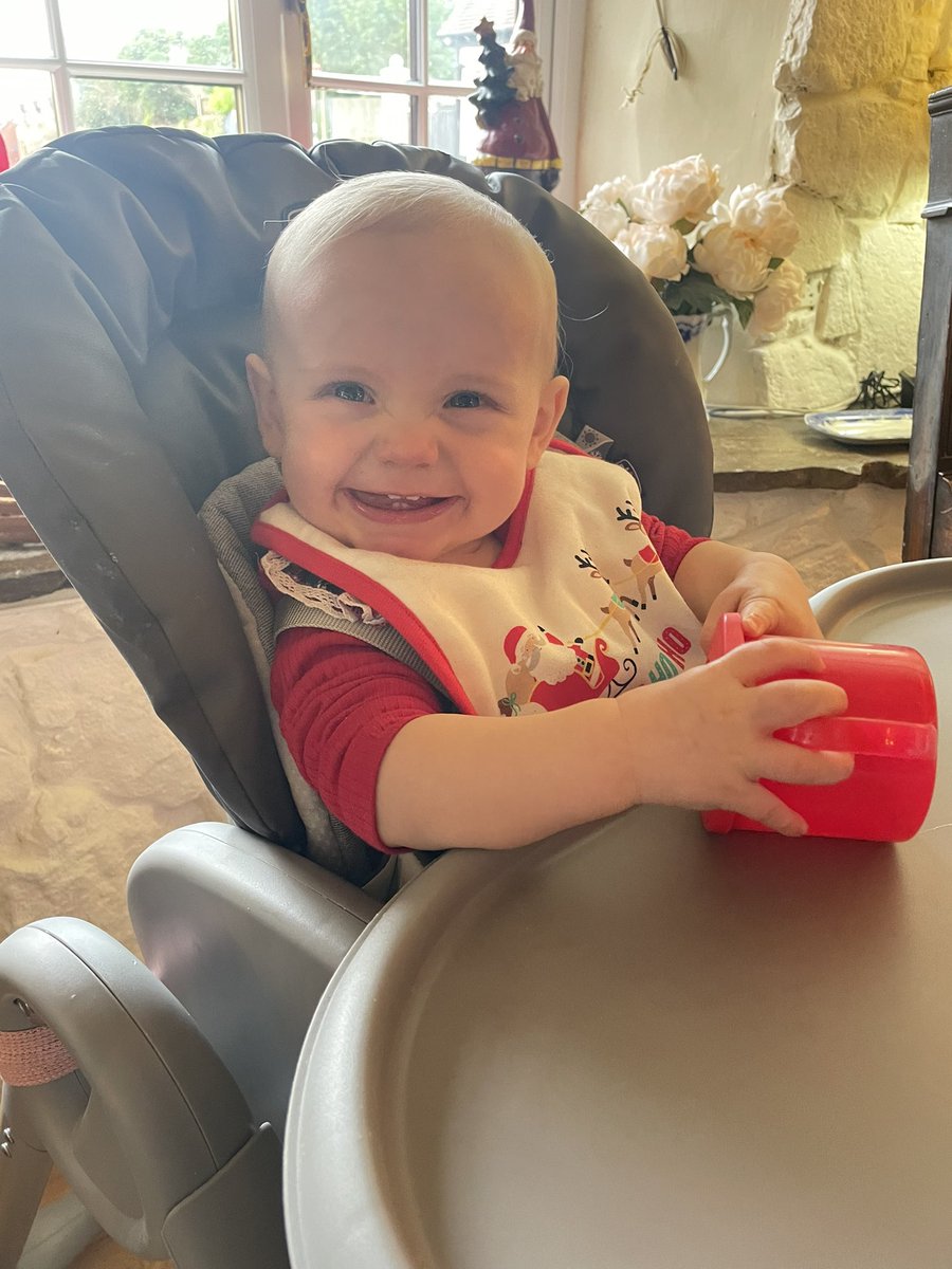 Chell_DeVille's tweet photo. The best first Christmas ❤️ https://t.co/J7Yptk4PIe