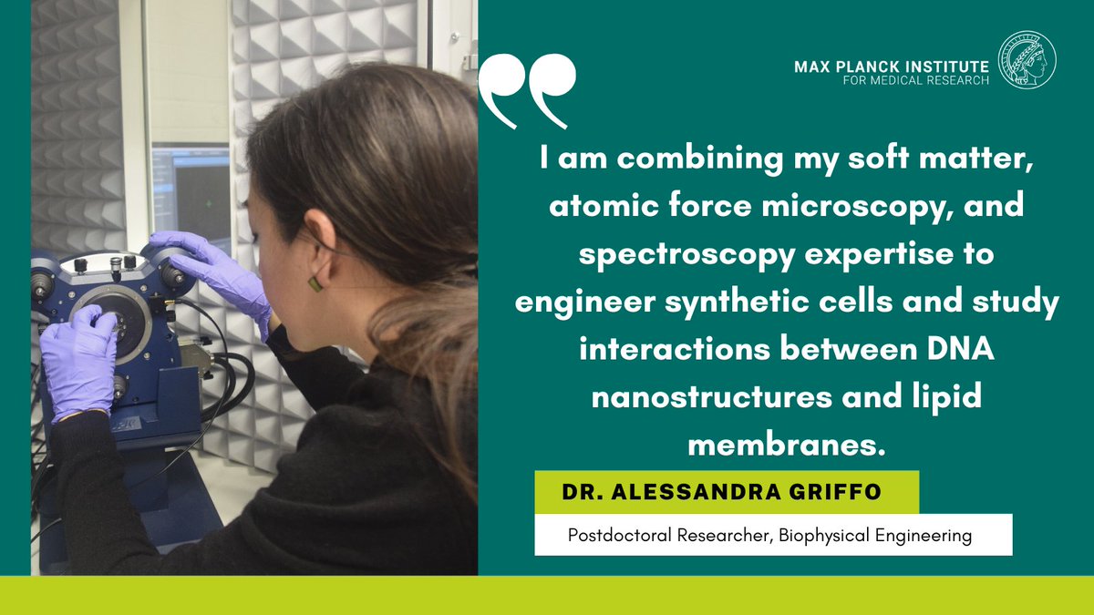 Today we're showcasing Alessandra in our #MPIMRSpotlight. 🌠👩‍🔬
Alessandra joined the Biophysical Engineering group as a PostDoc last year. <a href="/Ales_Griffo/">Alessandra Griffo</a>
