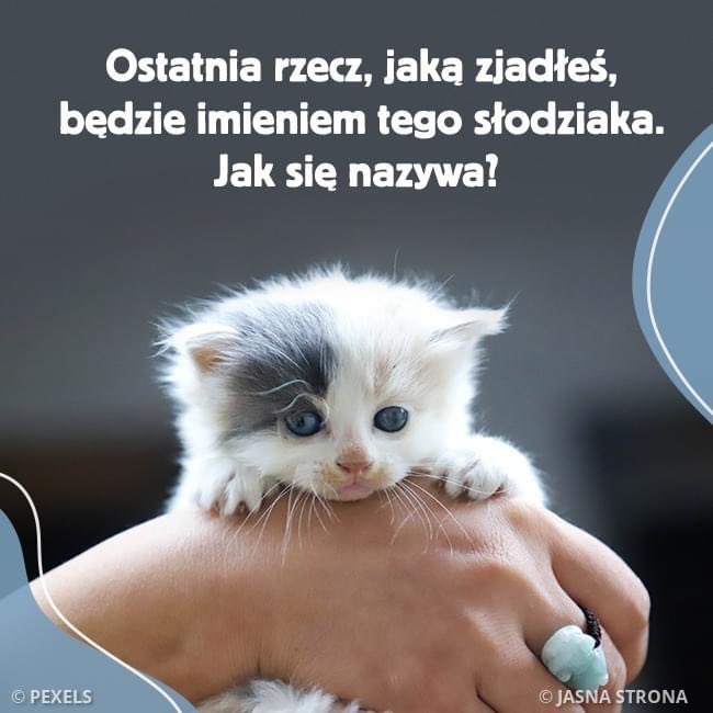 Biedrona tweet media