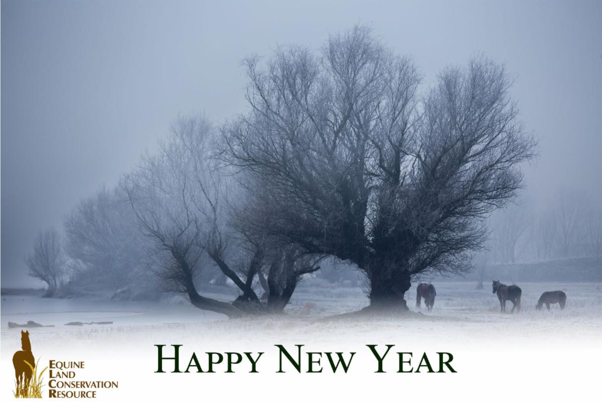 SaveHorseLand's tweet photo. https://t.co/MHPFdjI3T2
https://t.co/V6vymGGrY0 https://t.co/BL9sklOjkg