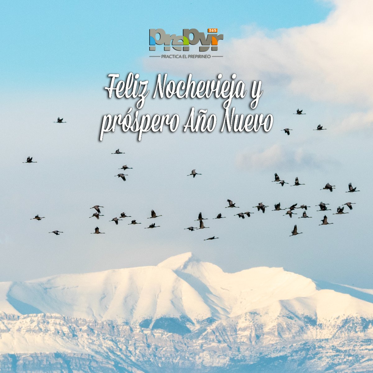 🔔¡Feliz Nochevieja y próspero Año Nuevo!

❄️Pasadlo genial despidiendo el 2022, y que este nuevo año que entra esté cargado de nuevas experiencias, bonitos lugares ¡y mucho Prepirineo!

📸 <a href="/asociacion_ueco/">asociacion_ueco</a>