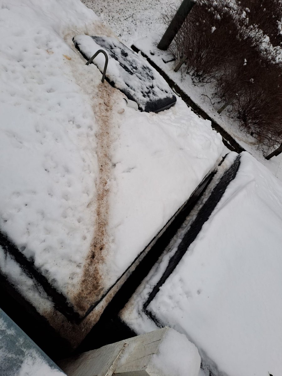 JussiTuomi's tweet image. Jos jäteastian luona näyttää tältä niin ota yhteyttä @Anticimex_Suomi. Et ole juttelemassa mukavia yksin vaan #rotta on myös kuuntelemassa hyvinkin lähellä. #tuholaistorjunta #asuminen #taloyhtiö