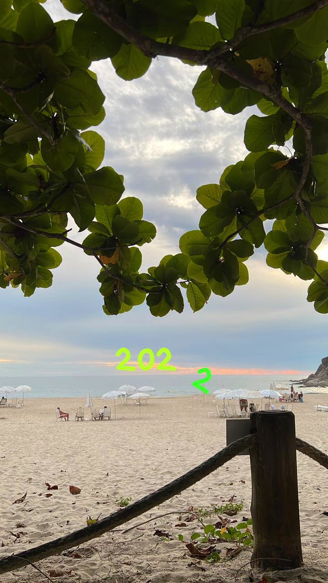 Lilli Meira tweet media