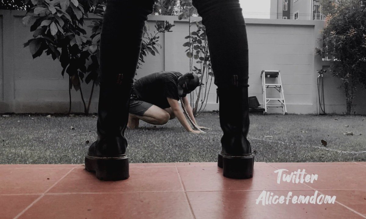 Alicefemdom's tweet photo. His fate was sealed under my feet.  His body was chained to the ground.  Beg or get stomp!  ล่ามก่อนโดนกระทืบ  #นายหญิง #ทาสเท้า #รองเท้าบูท #ทาสหมา #femdom #thaimistress #bootsworship #bdsm #鞋奴 #M男 #女王様 #妖湖 https://t.co/xxkWvTka9f
