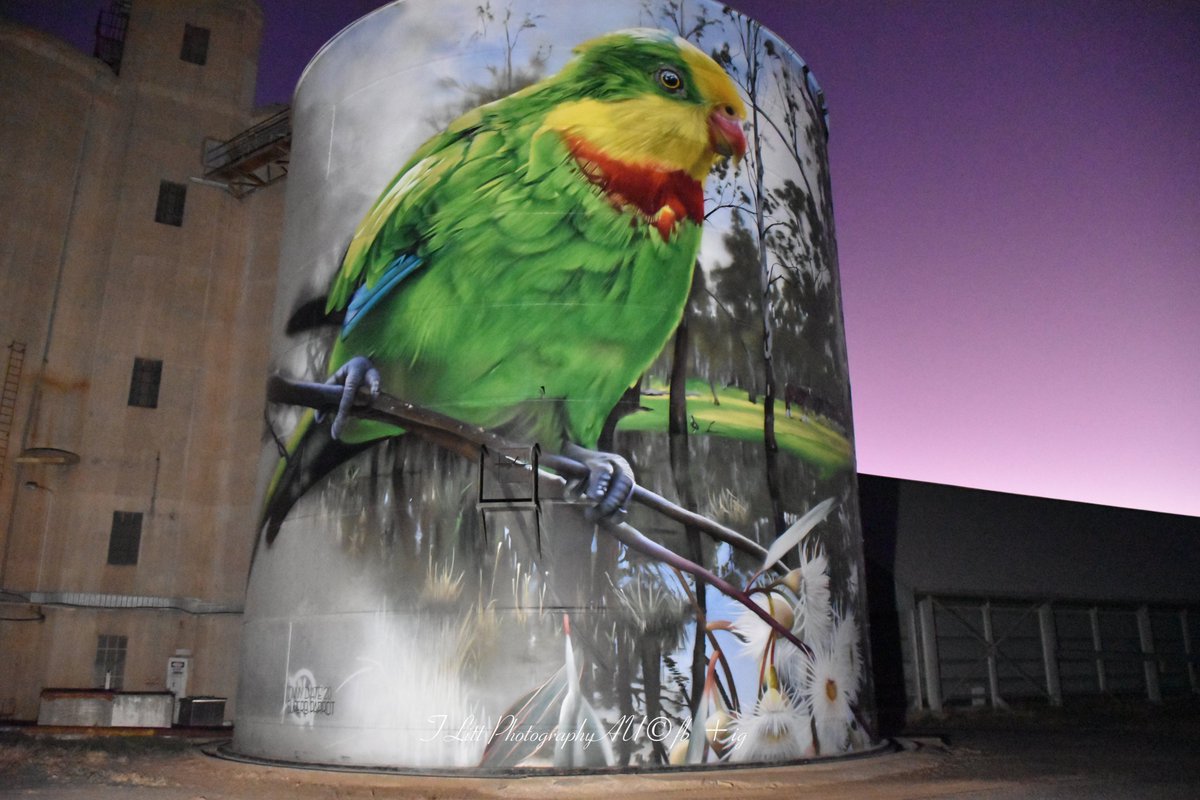 TonyL_Tchum's tweet photo. Experimenting with some portable flood lights at the Picola Silo Art.#picolasiloart #picolavic #australiansiloart #jimmydvate #dvate #northvictrails #nearttrail #northeastsiloarttrail #VisitTheMurray  #visitvictoria #siloarttrail #streetarttrail #roadsidearttrail #countrypubtrail https://t.co/X5uu72FaqN