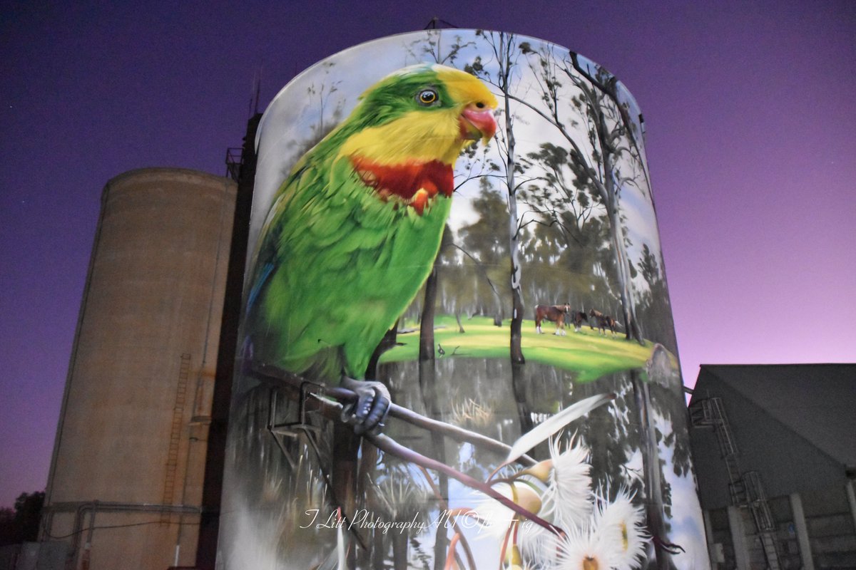 TonyL_Tchum's tweet photo. Experimenting with some portable flood lights at the Picola Silo Art.#picolasiloart #picolavic #australiansiloart #jimmydvate #dvate #northvictrails #nearttrail #northeastsiloarttrail #VisitTheMurray  #visitvictoria #siloarttrail #streetarttrail #roadsidearttrail #countrypubtrail https://t.co/X5uu72FaqN