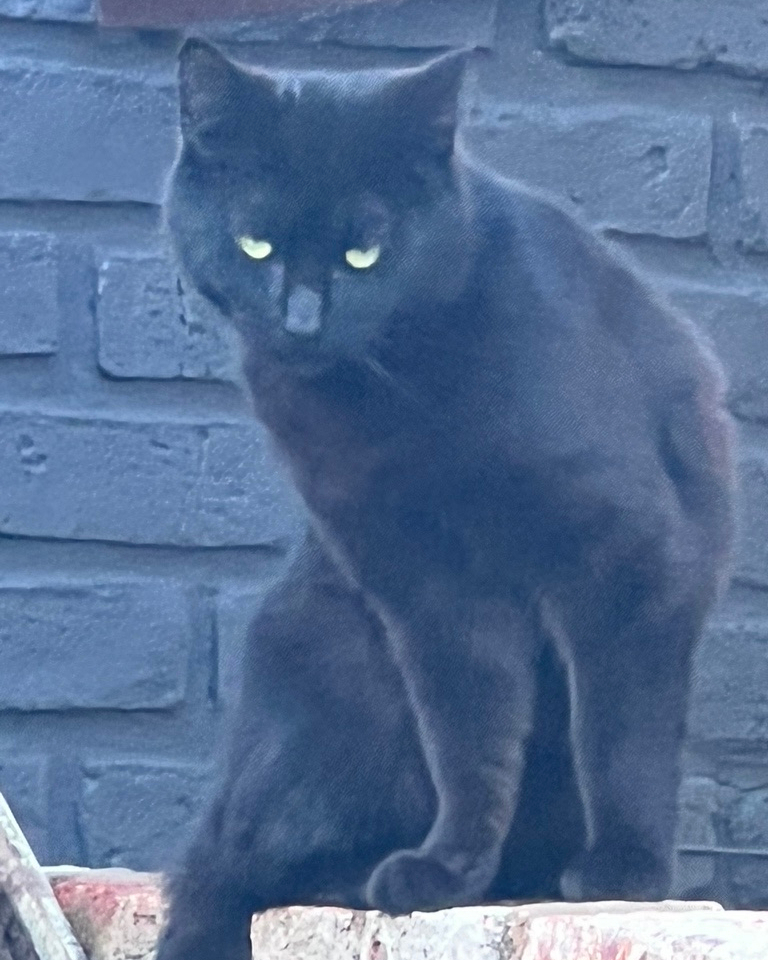 Francine Beaton tweet media