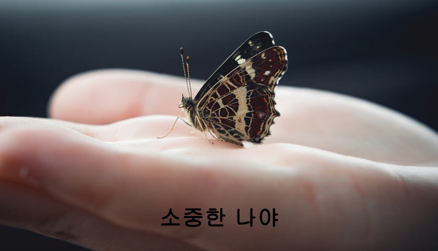 소중한 나야 3 (출처 : 함께 사는 .. | blog.naver.com/whdekfto35/222… 블로그) naver.me/F0wQjlKo                  
소중한 나야
하는 일이 힘들고 고달프더라도 우울해 하지마
소중한 나야
다른 사람이 나와 생각이 다르다고